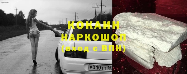 шишки Балабаново