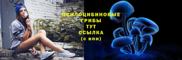 сатива Краснотурьинск