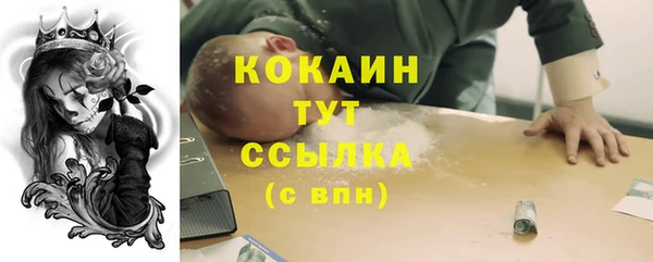 стаф Краснослободск