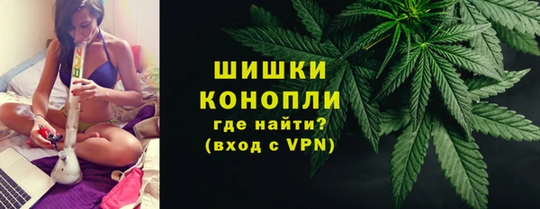 шишки Балабаново