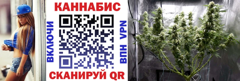 Марихуана индика  Шагонар 